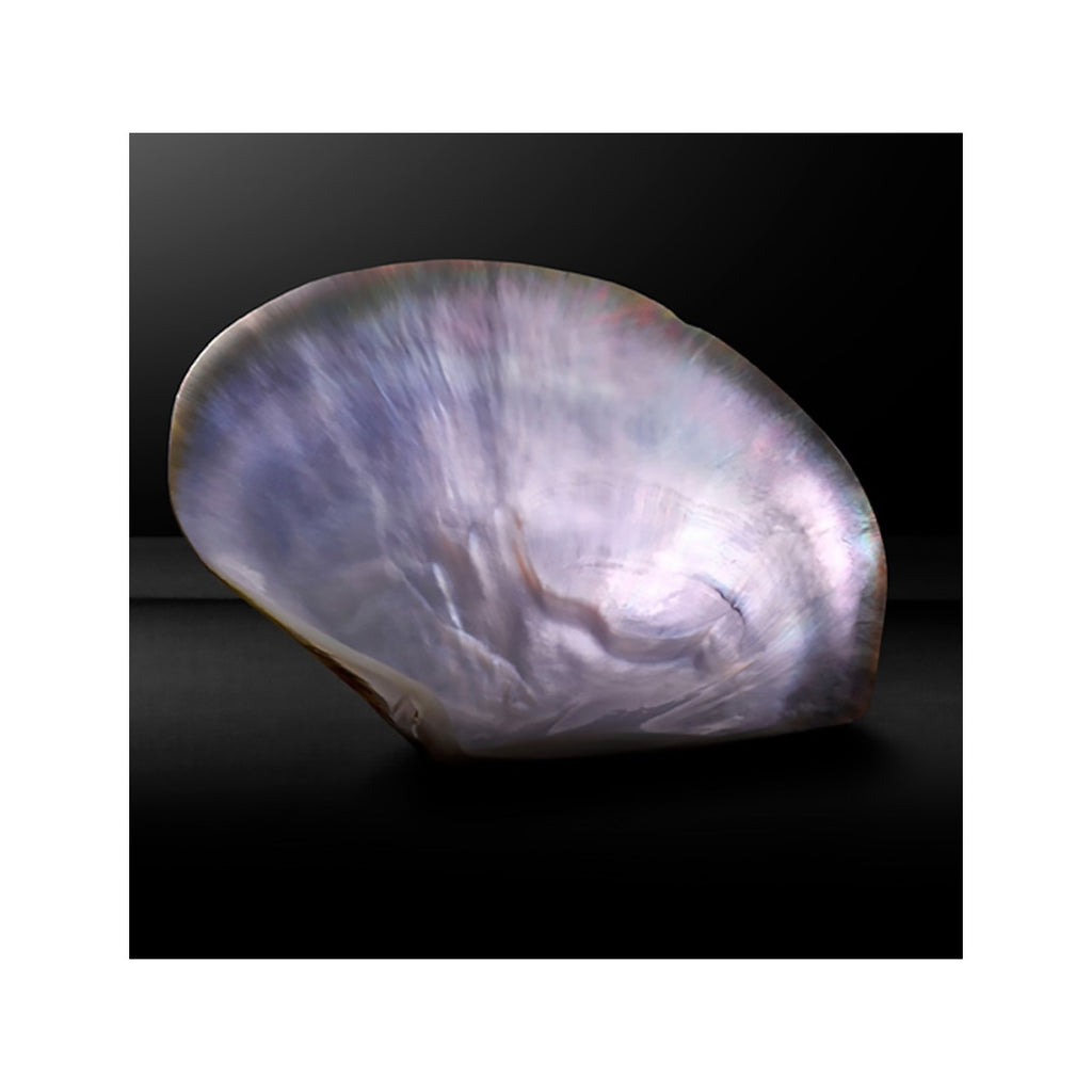 Tissot - T-Wave Mother of Pearl Stainless Roman Dial - T1122101111300