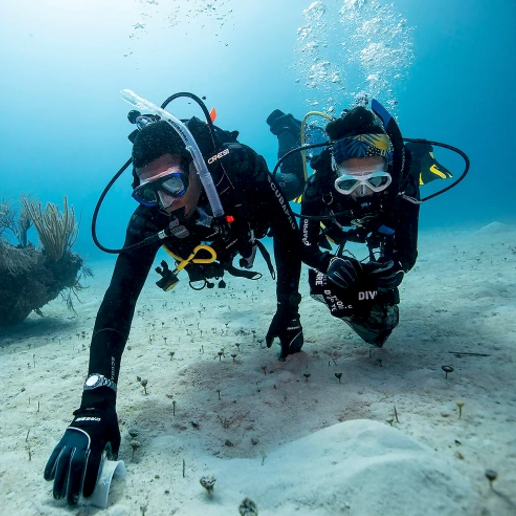 Seiko - Prospex Turtle Diver PADI 60th Anniversary Limited Edition - HBB002
