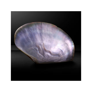 Tissot - T-Wave Mother of Pearl Stainless Roman Dial - T1122101111300